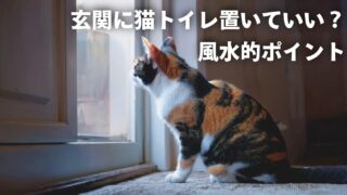 【風水で運気好転！】猫トイレは玄関に置いていい？あなたと愛猫の幸せアップ術 