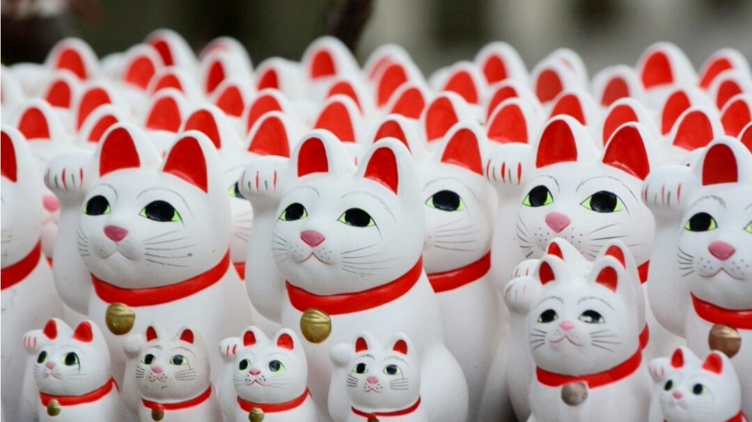 たくさん並んだ招き猫の置物｜風水で招き猫がよくないと言われる原因
