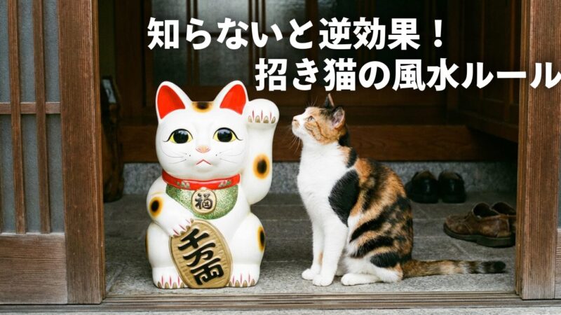 【招き猫はよくない？】風水でNGな置き方と正しい開運術を徹底解説！ 
