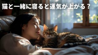 猫が一緒に寝るのは偶然じゃない？魂で繋がるスピリチュアルな理由 