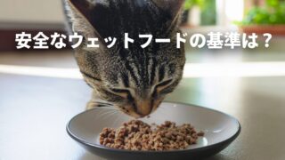 ずっと元気で！猫に安全なウェットフードおすすめ3選｜後悔しない食事選び 