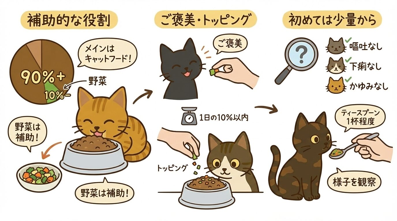 猫に野菜を与える適量と注意点。キャットフードの補助として1日10%以内、初めてはスプーン1杯から様子見する図解