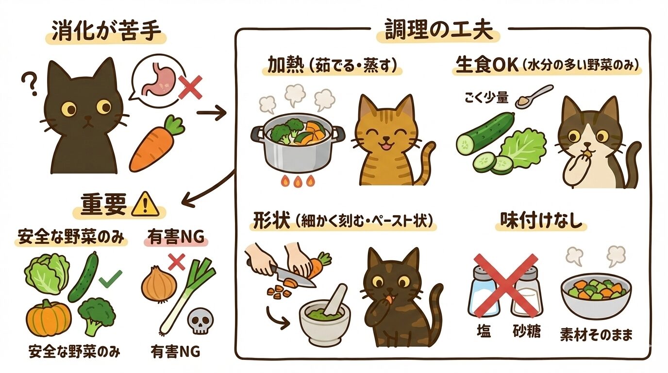 猫に野菜を与える際の調理法。加熱して刻む、ペーストにするなど消化を助ける工夫と味付けなしのルールの図解