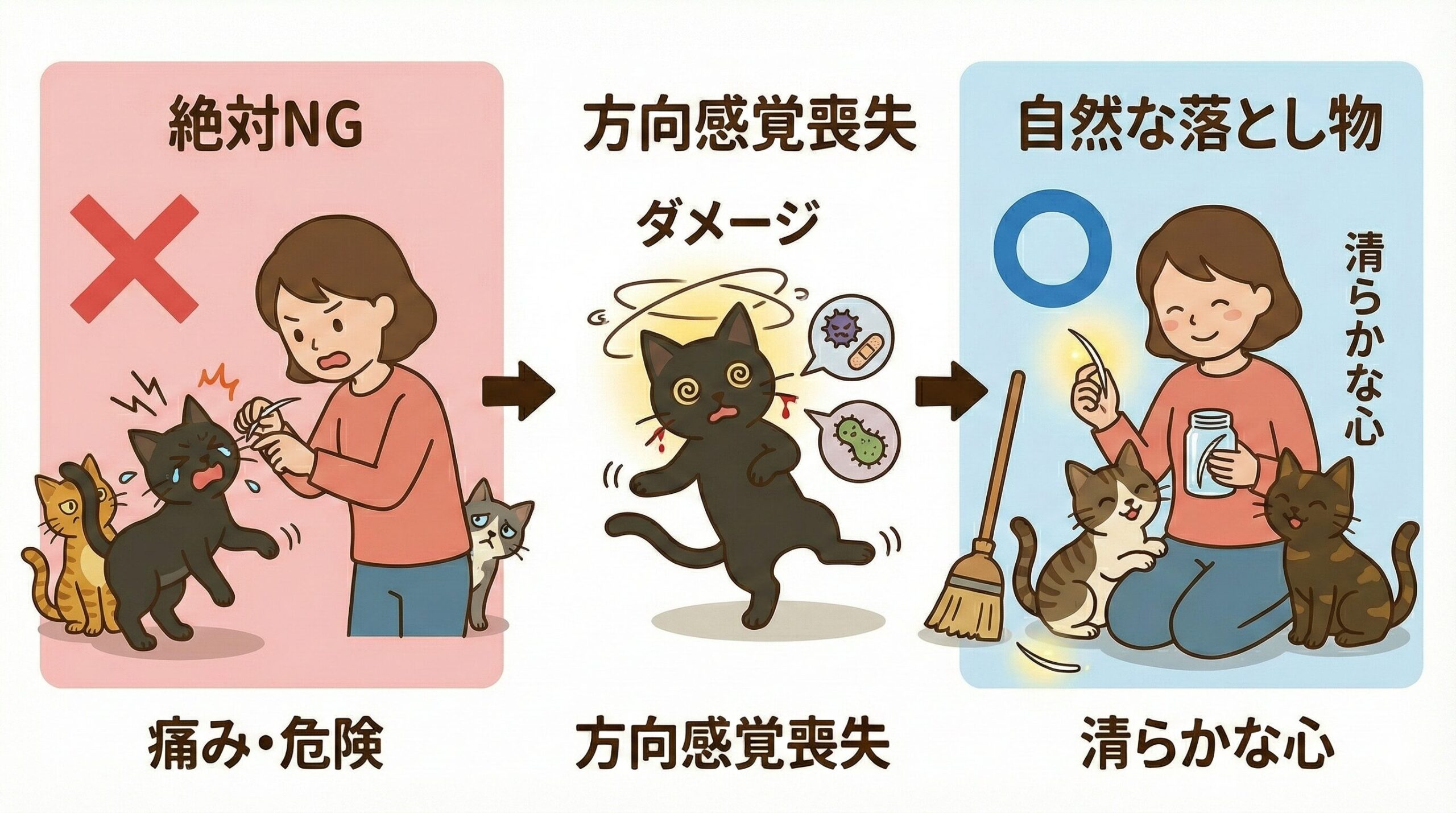 猫のひげを無理に抜く危険性と、自然に落ちたものを拾う正しい方法を対比した解説イラスト。