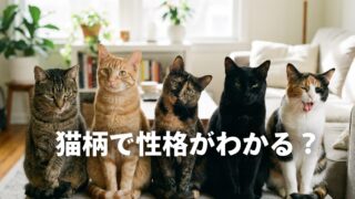 雑種猫の種類と性格を柄別に解説｜うちの子の個性がもっと愛おしくなる 