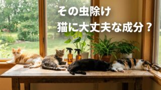 猫に安全な虫除けの選び方｜成分と製品タイプで分かる判断基準 