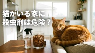【猫がいる家のゴキブリ対策】殺虫剤なしが正解｜安全グッズと天然素材4選 