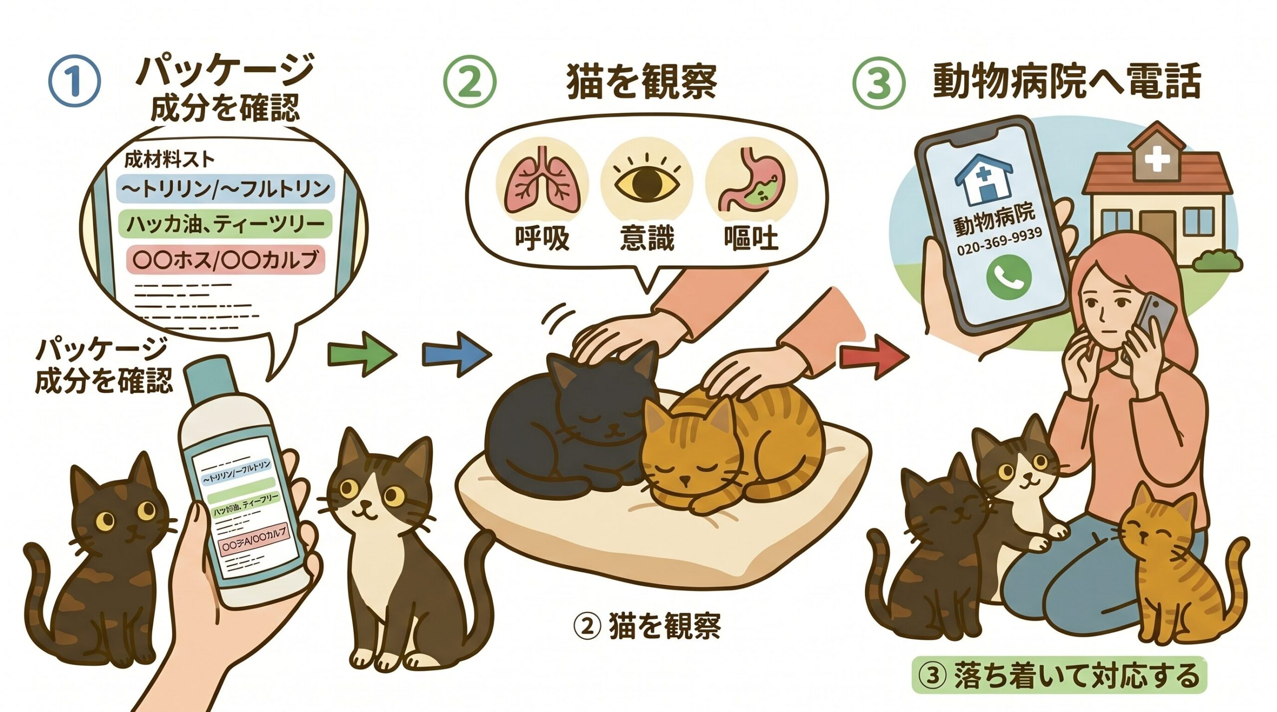 猫が殺虫剤を口にしたときの対処フローを示すグラフィックレコード