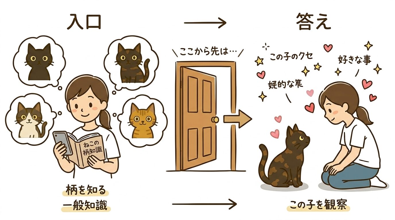 柄の知識を入口にして猫を観察する楽しさを表すグラフィックレコード