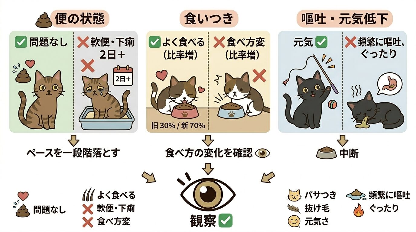 フード切り替え中に確認すべき体調チェックポイントのイラスト