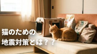 猫の地震対策｜震災経験者が伝える愛猫と安心して暮らす備え 