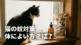 【猫がいる家の蚊対策】殺虫剤なしで選ぶ天然グッズと環境づくり 