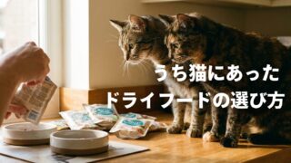 猫のドライフードの選び方｜多頭飼い10年でたどり着いた判断基準と実践 