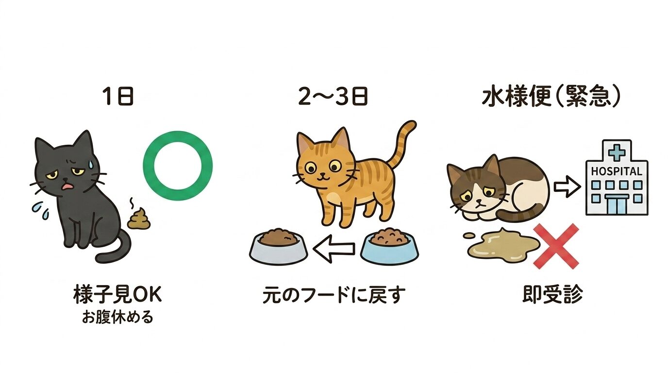 下痢の日数別の対処法を示すイラスト