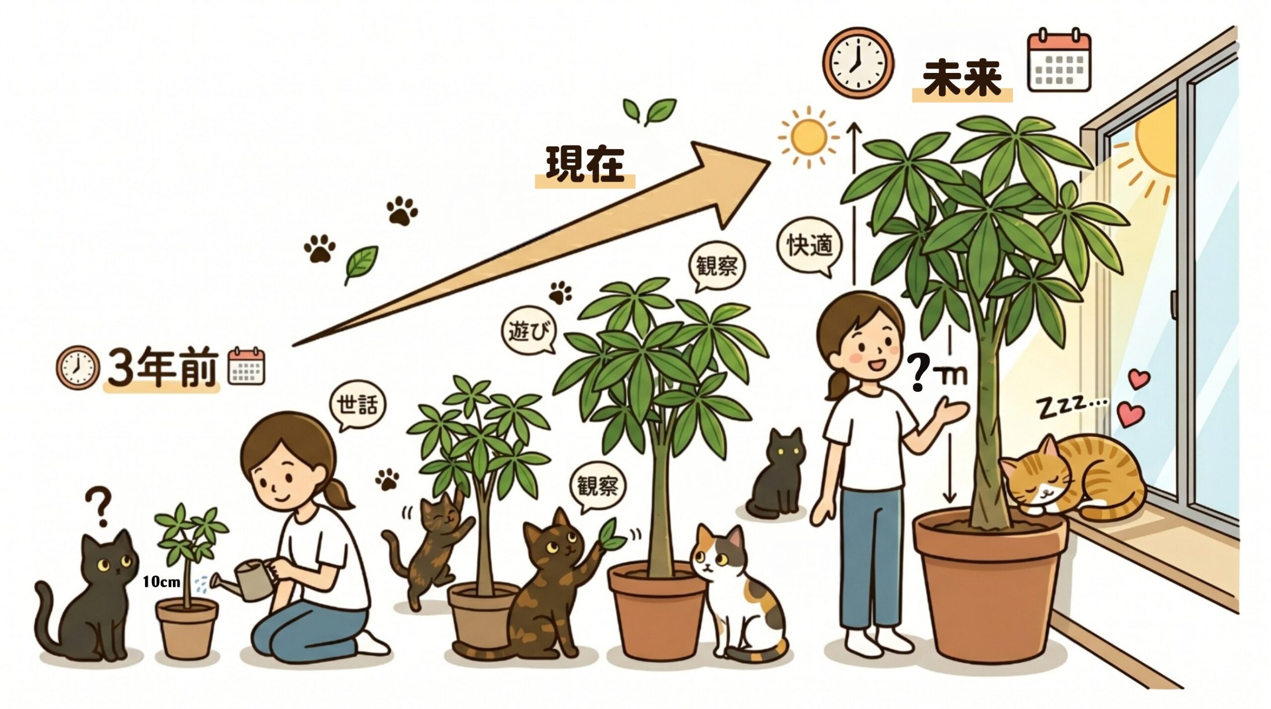 パキラの3年間の成長とそばでくつろぐ猫のイラスト
